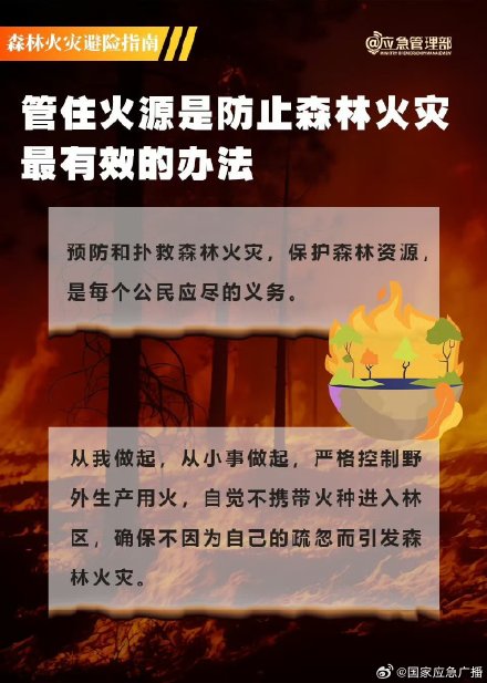 山火逃生三大误区 山火逃生三大误区