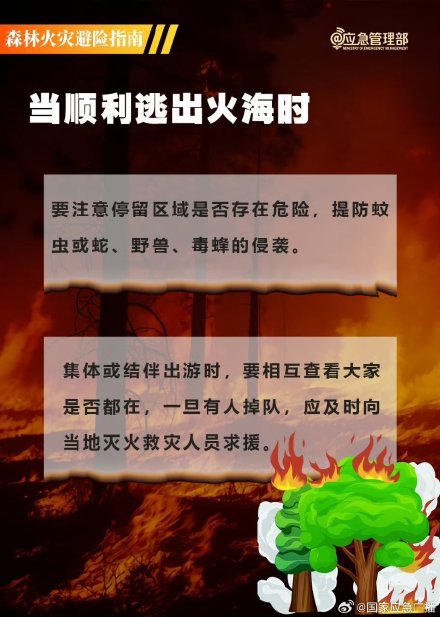 山火逃生三大误区 山火逃生三大误区