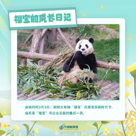 可可爱爱!福宝的成长日记 可可爱爱!福宝的成长日记
