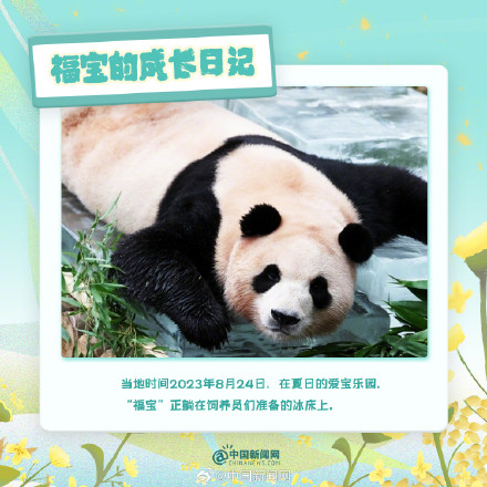 可可爱爱!福宝的成长日记 可可爱爱!福宝的成长日记