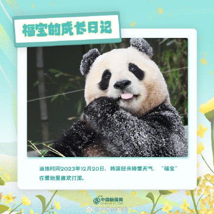可可爱爱!福宝的成长日记 可可爱爱!福宝的成长日记