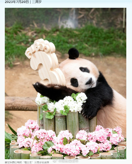 福宝成长的N个高光瞬间