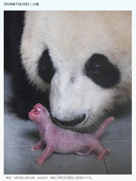 福宝成长的N个高光瞬间