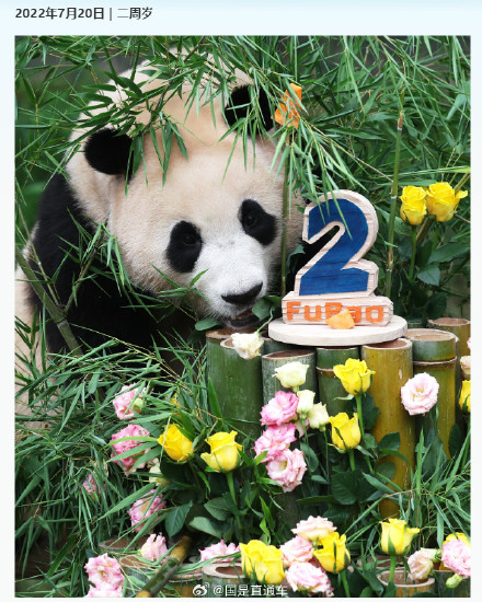 福宝成长的N个高光瞬间