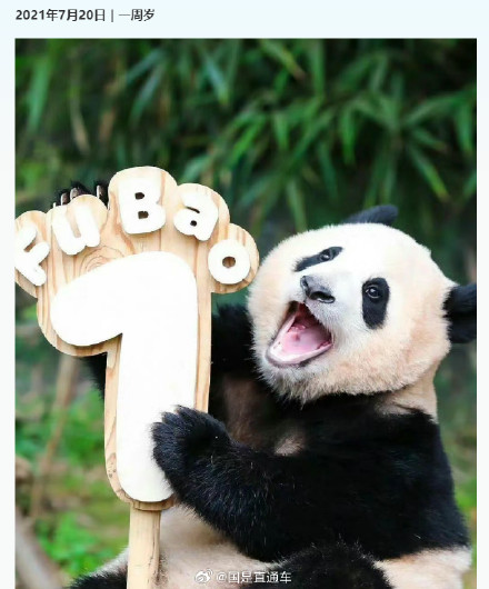 福宝成长的N个高光瞬间