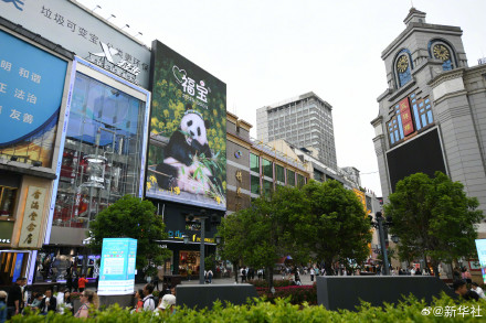 哇！是福宝专属广告牌！