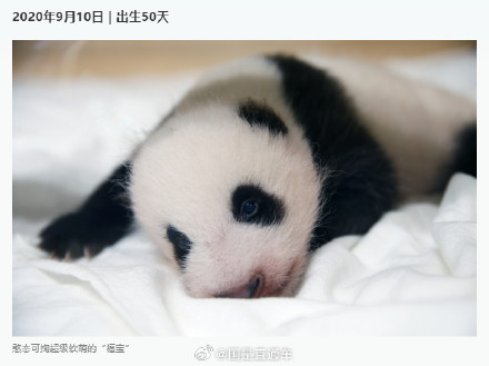 福宝成长的N个高光瞬间