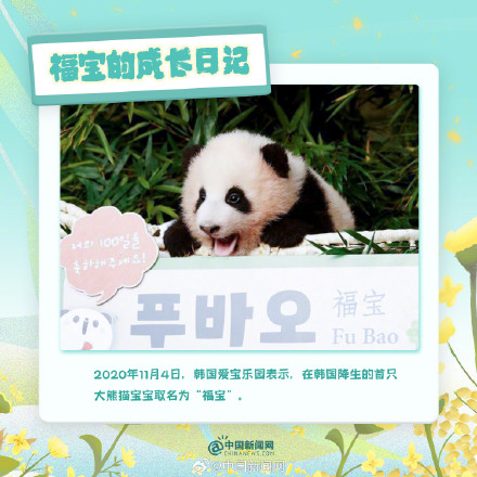 可可爱爱!福宝的成长日记 可可爱爱!福宝的成长日记