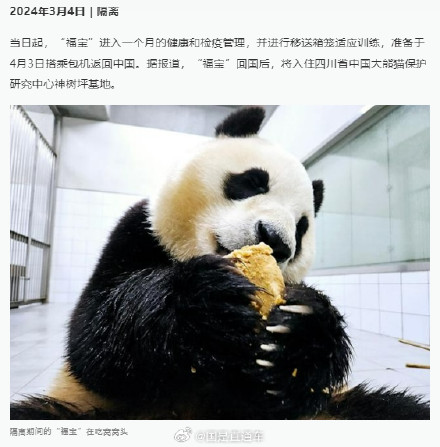 福宝成长的N个高光瞬间