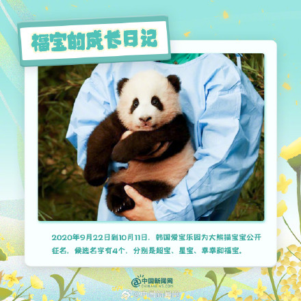 可可爱爱!福宝的成长日记 可可爱爱!福宝的成长日记