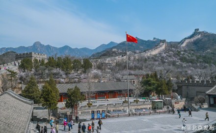 清明假期正值八达岭山花烂漫，乘开往春天的列车赏一路繁花