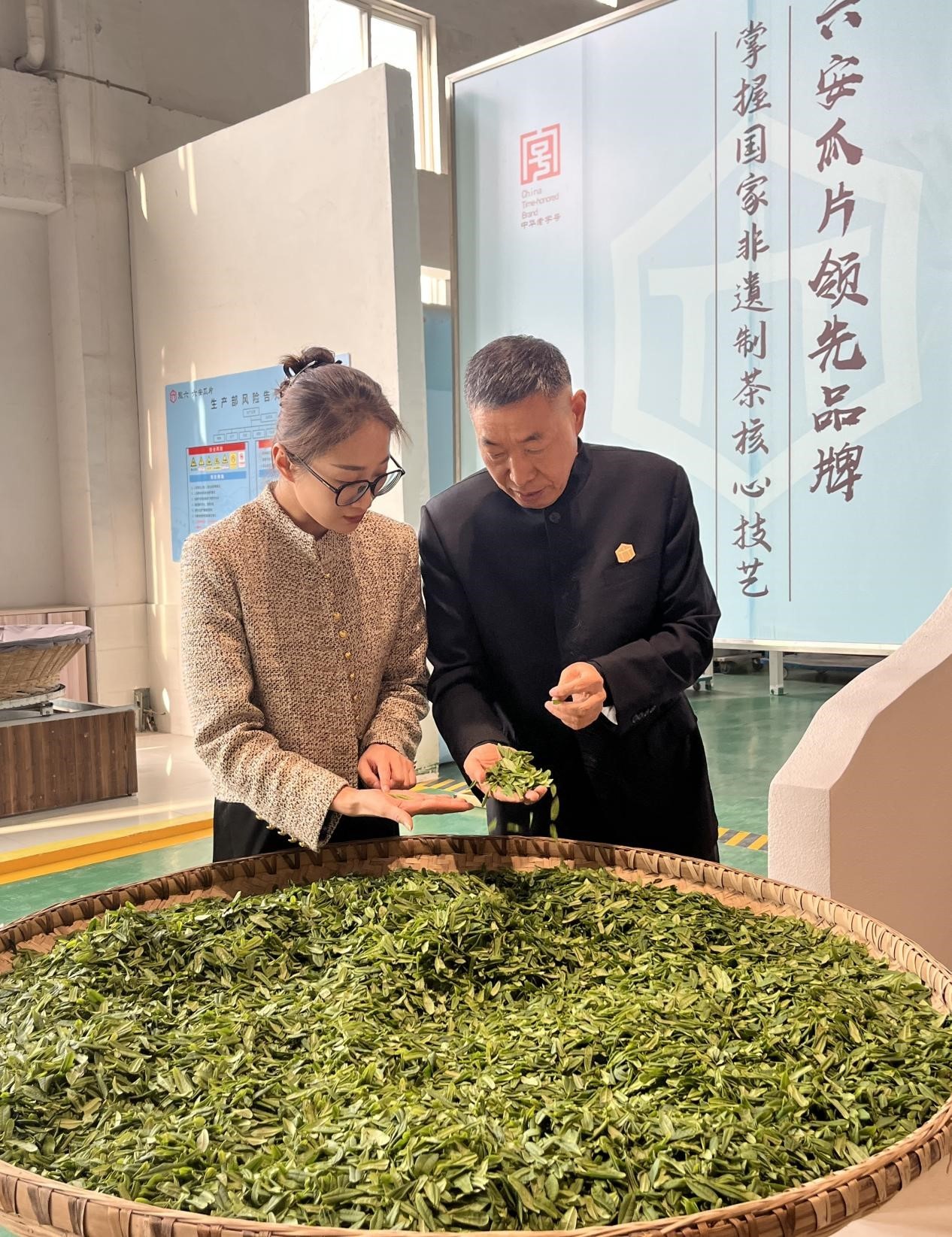 安徽六安:春光一片好 茶香飘四野 安徽六安:春光一片好 茶香飘四野