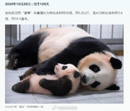 福宝成长的N个高光瞬间