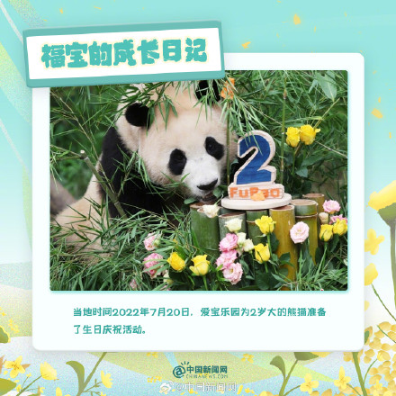 可可爱爱!福宝的成长日记 可可爱爱!福宝的成长日记