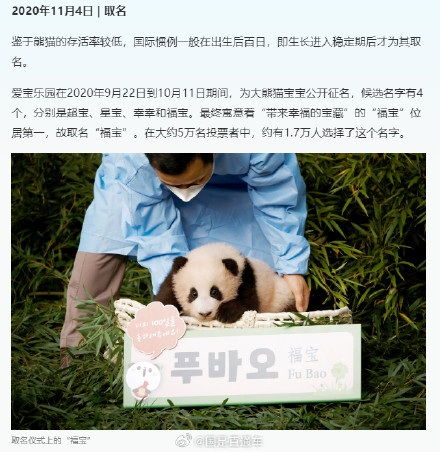 福宝成长的N个高光瞬间