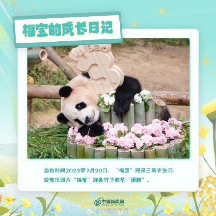 可可爱爱!福宝的成长日记 可可爱爱!福宝的成长日记