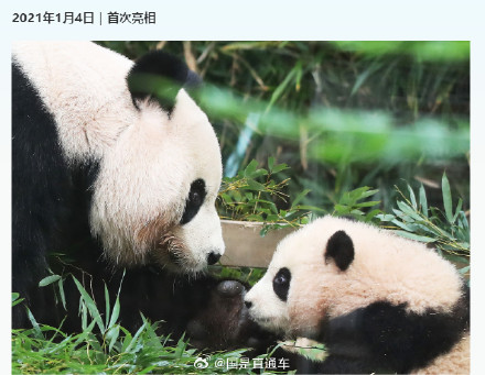 福宝成长的N个高光瞬间