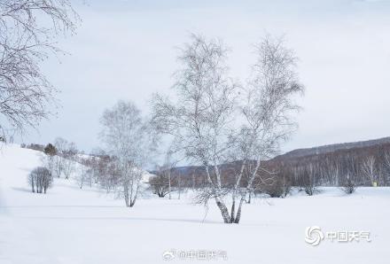 内蒙古呼伦贝尔再遇降雪 大地空灵广阔 内蒙古呼伦贝尔再遇降雪 大地空灵广阔