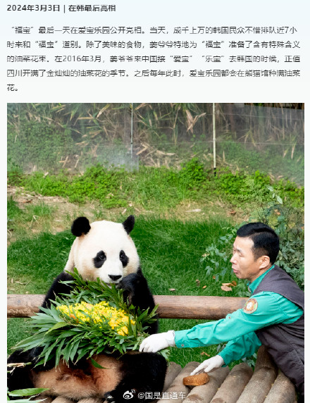 福宝成长的N个高光瞬间