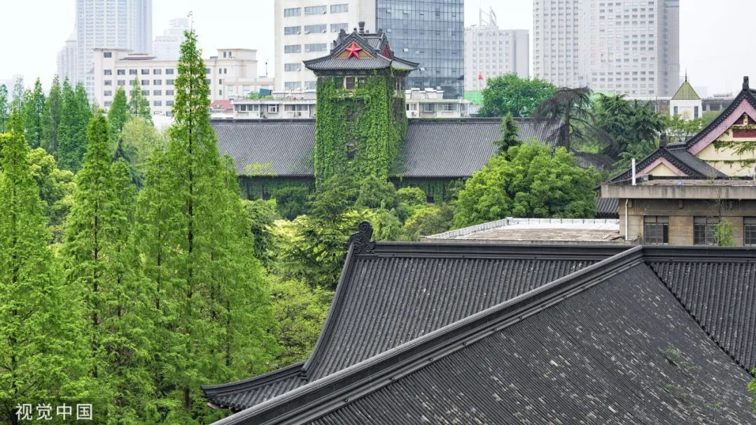 考研第一却被刷,竟是因为虐猫?网友:校方干得漂亮! 考研第一却被刷,竟是因为虐猫?网友:校方干得漂亮!