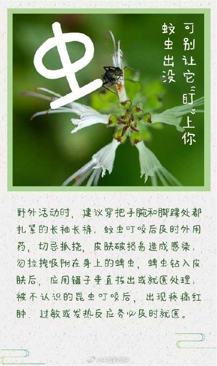 请查收！6大清明假期安全关键字