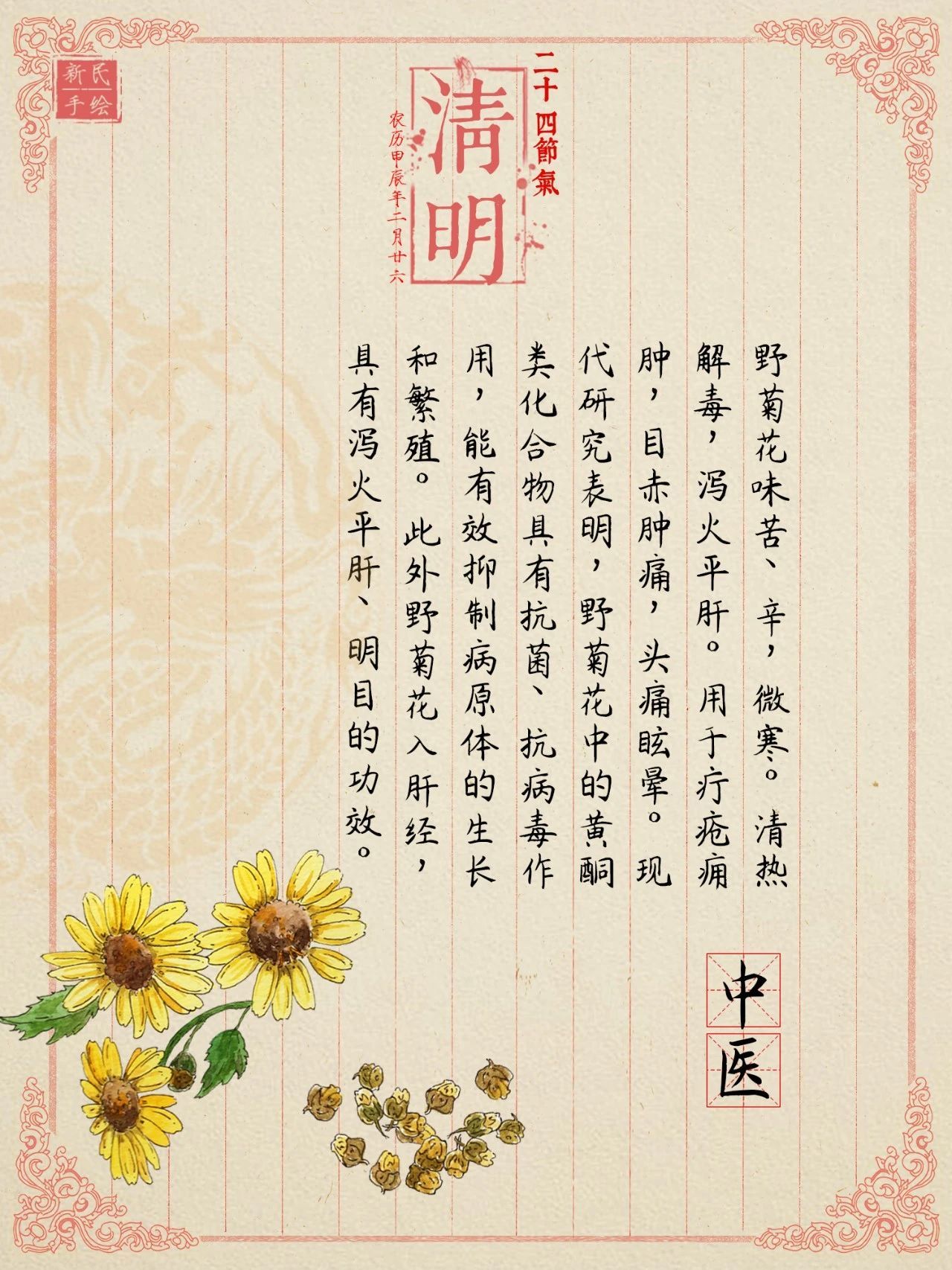 这种花竟然可以吃！清热泻火还能祛痘痘