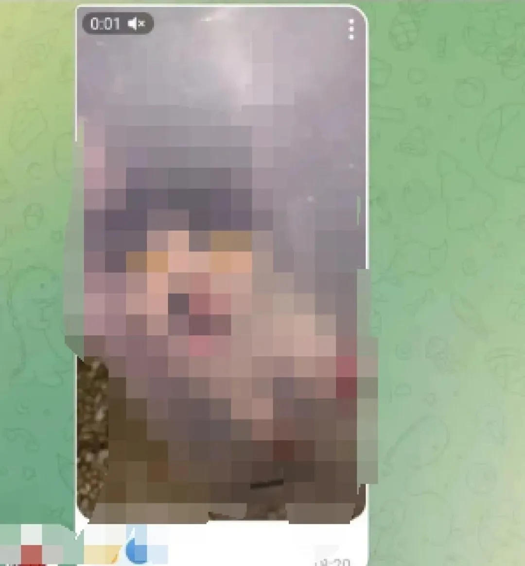 考研第一却被刷,竟是因为虐猫?网友:校方干得漂亮! 考研第一却被刷,竟是因为虐猫?网友:校方干得漂亮!