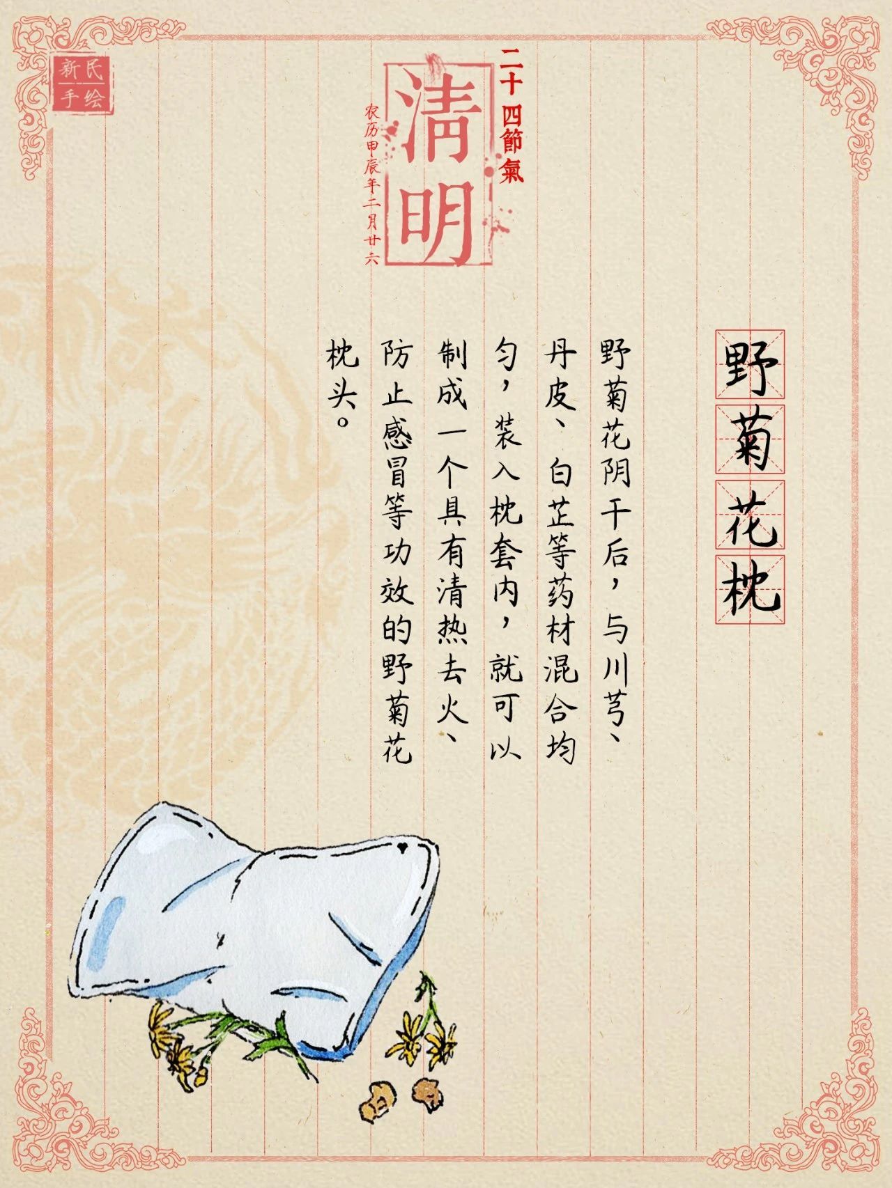 这种花竟然可以吃！清热泻火还能祛痘痘