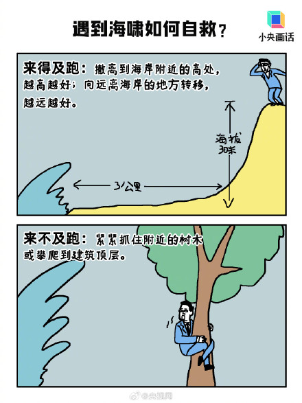 遇到海啸应该如何自救？