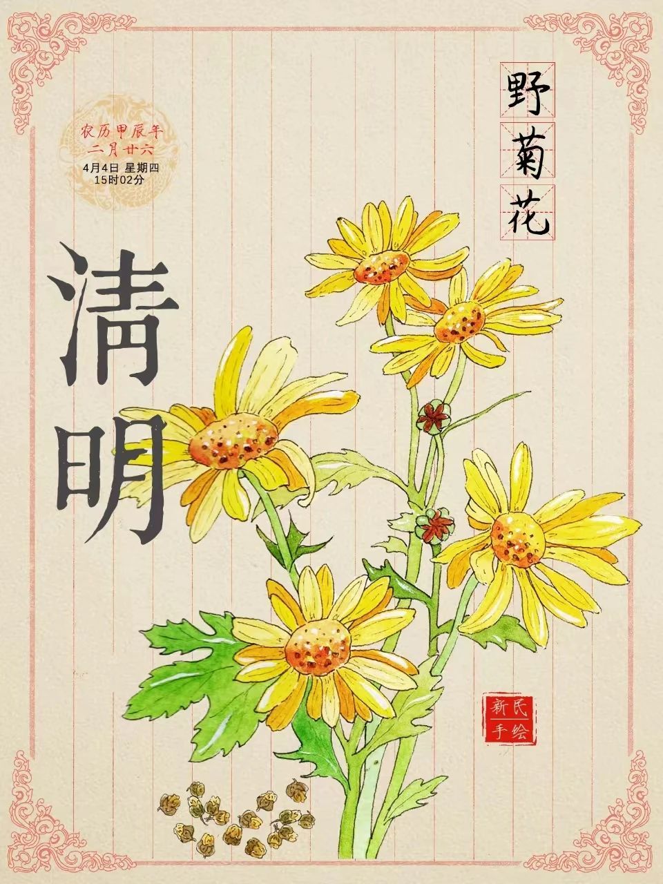 这种花竟然可以吃！清热泻火还能祛痘痘