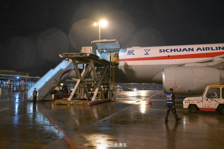 旅韩大熊猫“福宝”顺利回国