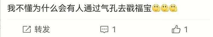 福宝被“戳”引发网友不满？官方回应