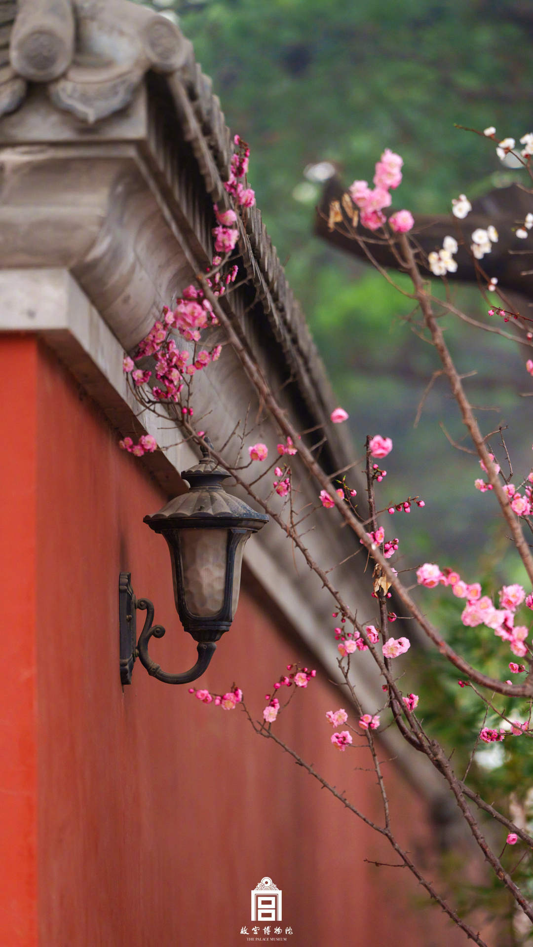 收藏！故宫梅花壁纸上新