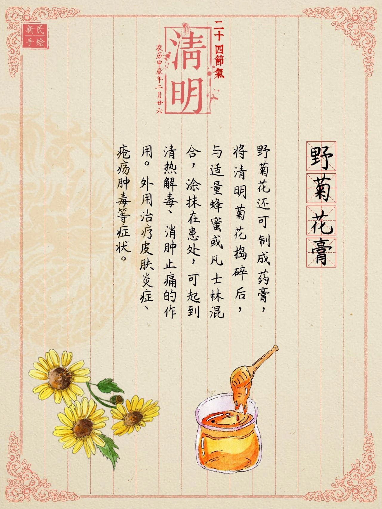这种花竟然可以吃！清热泻火还能祛痘痘