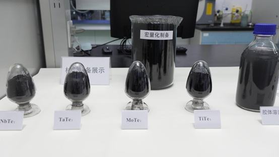 我国科学家实现二维过渡金属碲化物材料的高效制备