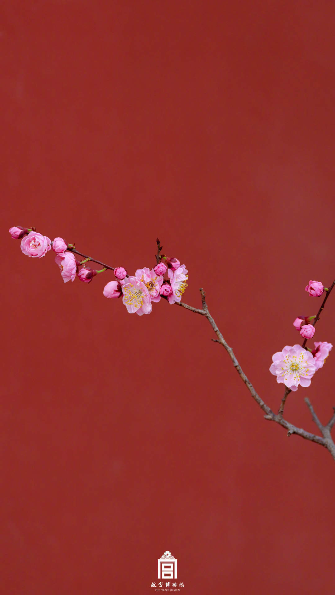 收藏！故宫梅花壁纸上新
