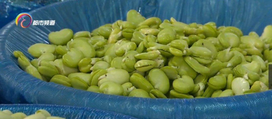 提醒！蚕豆虽美味，但这类人群千万不能吃