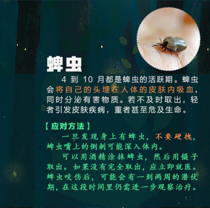 确认感染！男子扫墓后就进了医院，原因竟是......