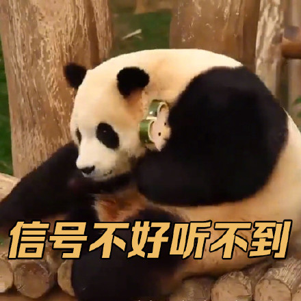 上新了！调皮福宝专属表情包