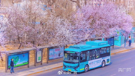 大连最美公交车站限时上线 大连最美公交车站限时上线