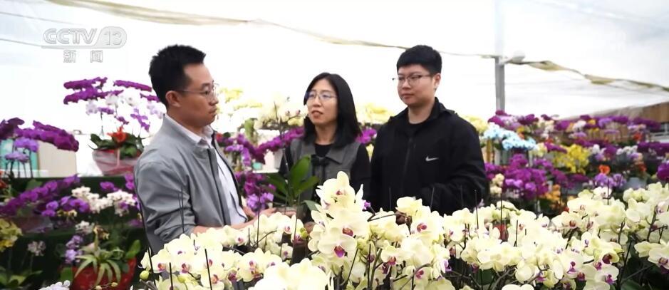 “小”花朵成致富“大”产业 花卉产业“一路生花”激活千亿产业链