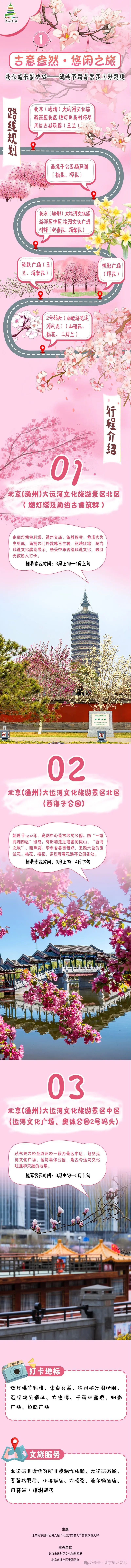 太美啦！北京城市副中心推出三条“赏花+”特色路线！快来打卡~