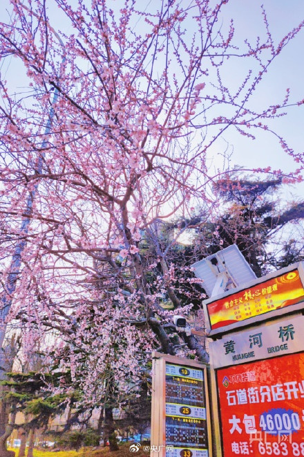 大连最美公交车站限时上线 大连最美公交车站限时上线
