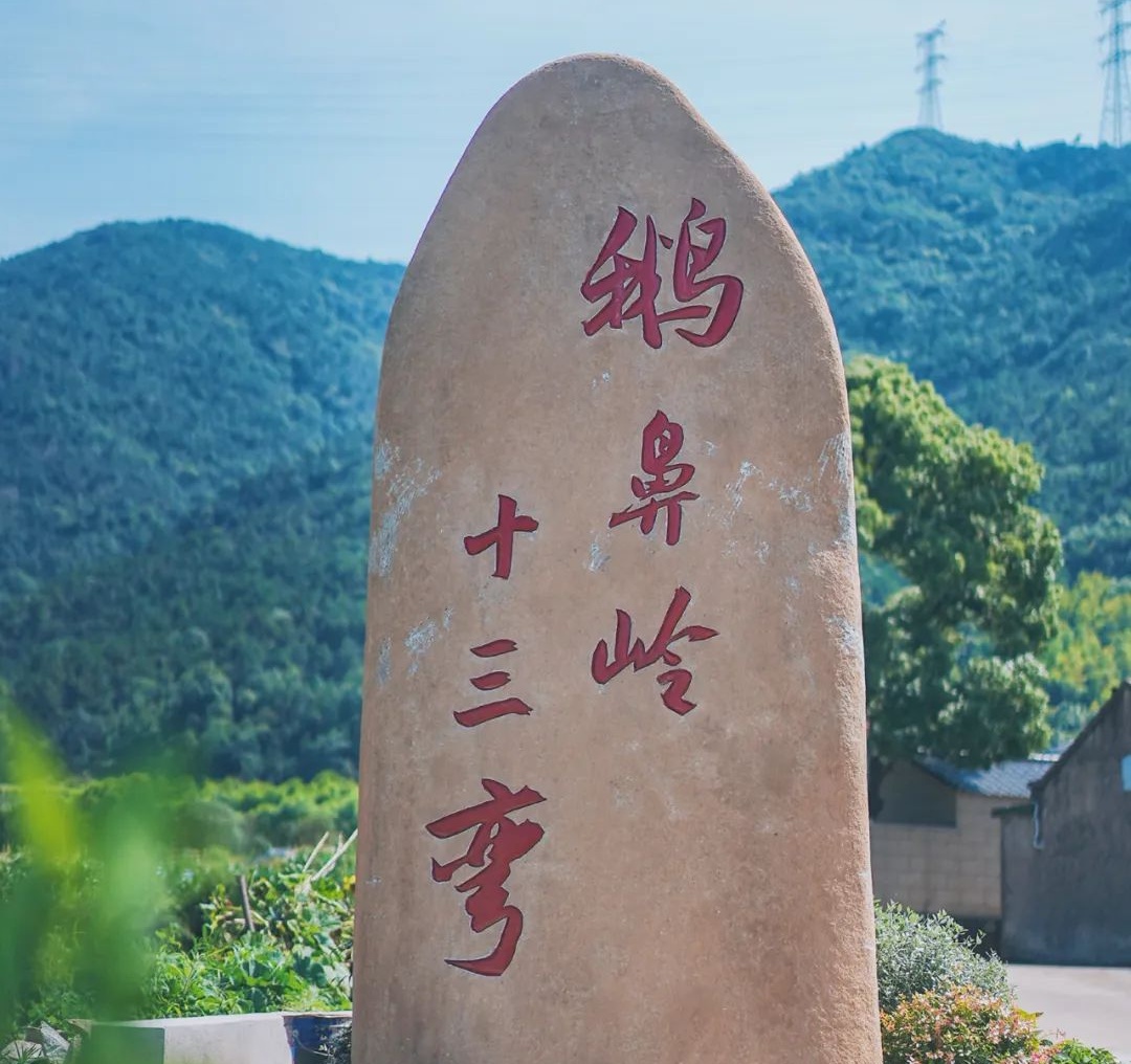 最美人间四月天，浙江6处登高地邀你“上春山”