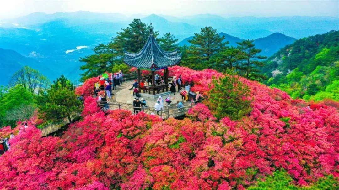 660万+!湖北这些景区要排长队 660万+!湖北这些景区要排长队