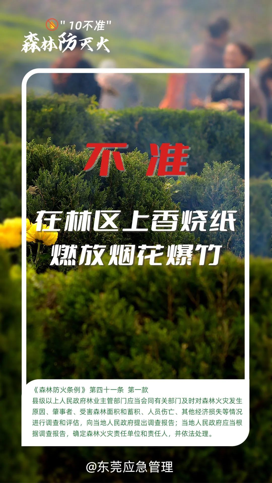 注意!扫墓祭祀引发火灾,拘留 注意!扫墓祭祀引发火灾,拘留