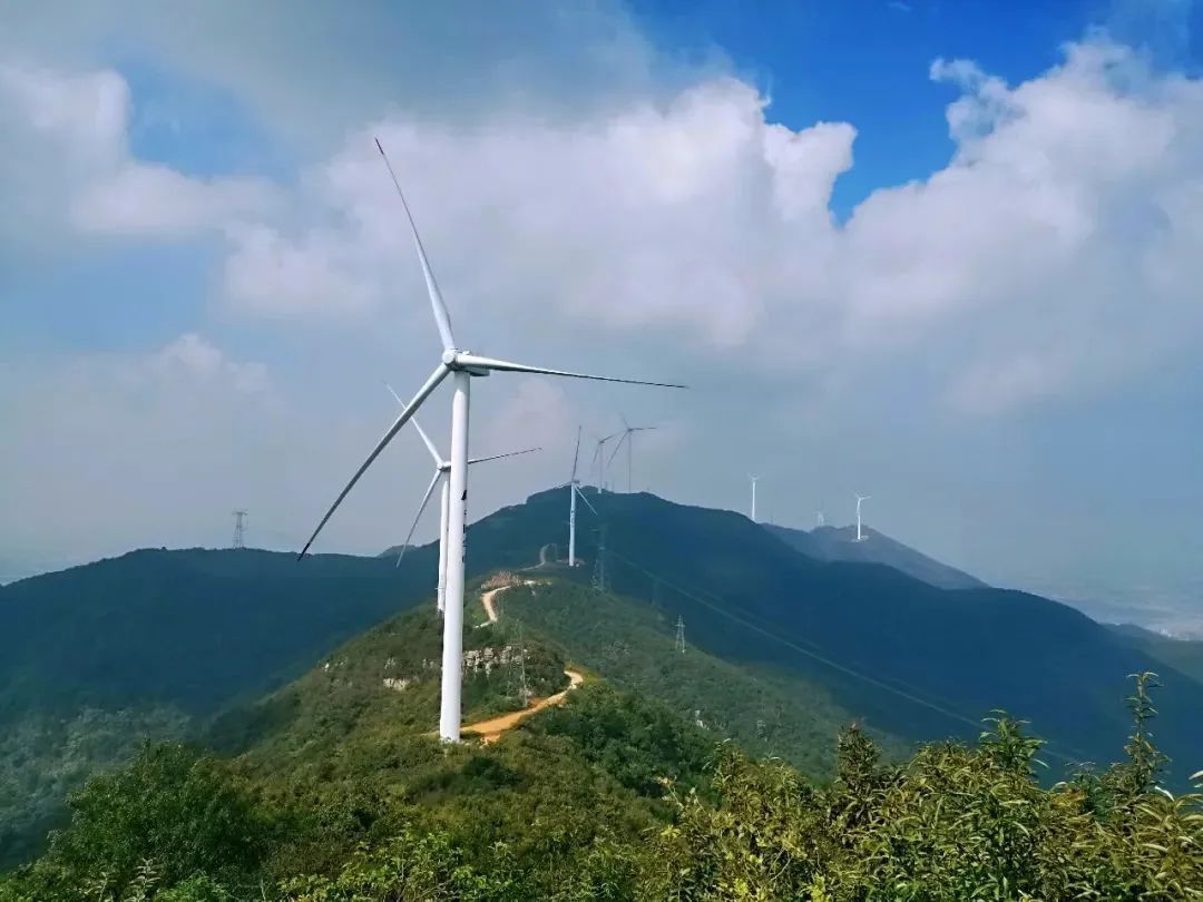 最美人间四月天，浙江6处登高地邀你“上春山”