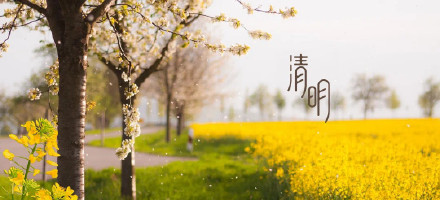 清明假期陕西以阴天和小雨为主