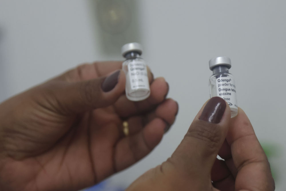 巴西：为青少年接种登革热疫苗