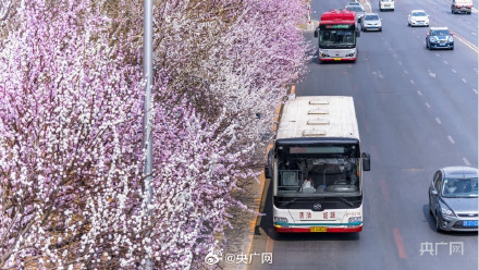 大连最美公交车站限时上线 大连最美公交车站限时上线
